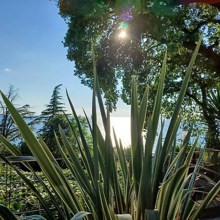 Brezza Marina - In Fronte Mare Casa vacanze Trieste
